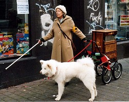 EVERY DOG HAS ITS DAY - still #1