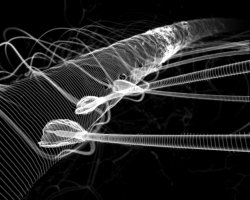 ELECTRONIC PERFORMERS - still #1