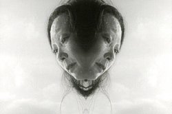 PAPILLON D'AMOUR - still #1