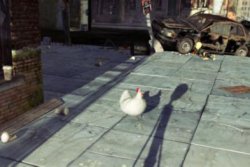 A MORNING STROLL - still #1