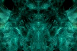 EMOTION STUDY - still #1