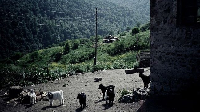 MILKY BROTHER - still #1