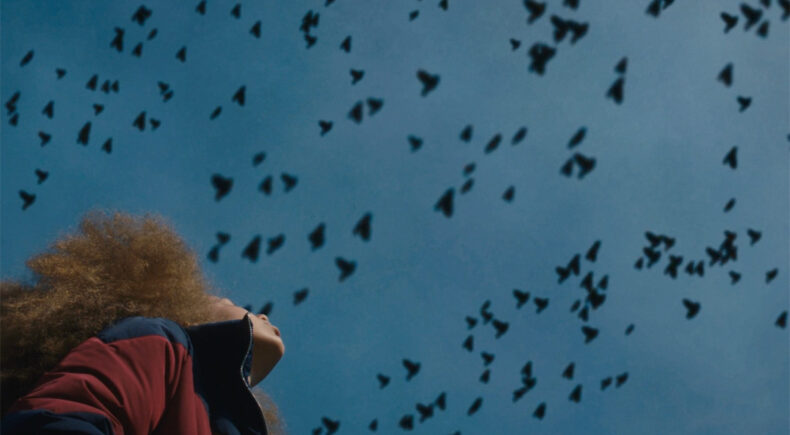 Broken Bird - still #2