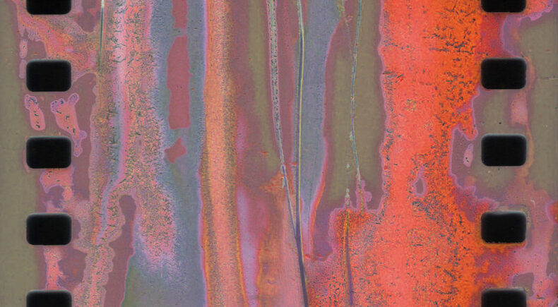 Summer Summer - still #4