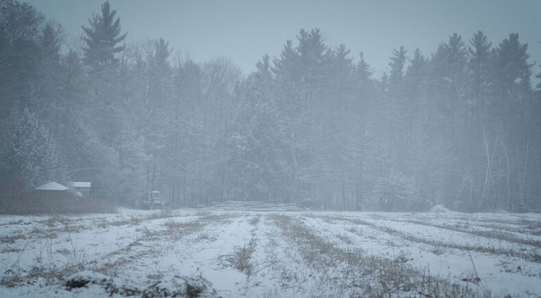 Death and Her Compass - still #3