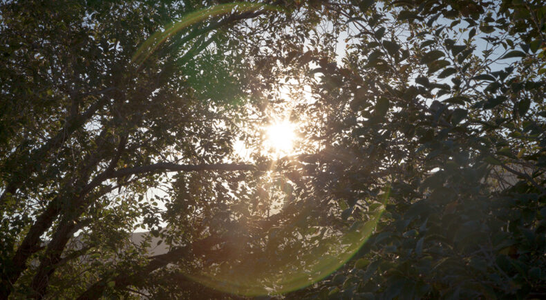 Truth or Consequences - still #3