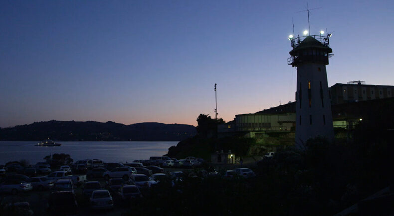 LIFE & LIFE - still #5