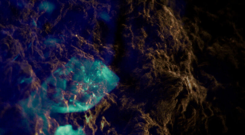 If a Tree Falls in a Forest - still #1