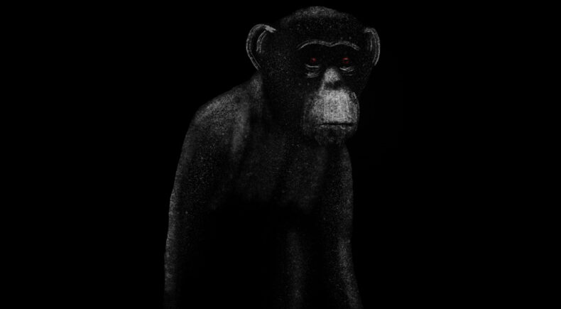 The Visit - still #1