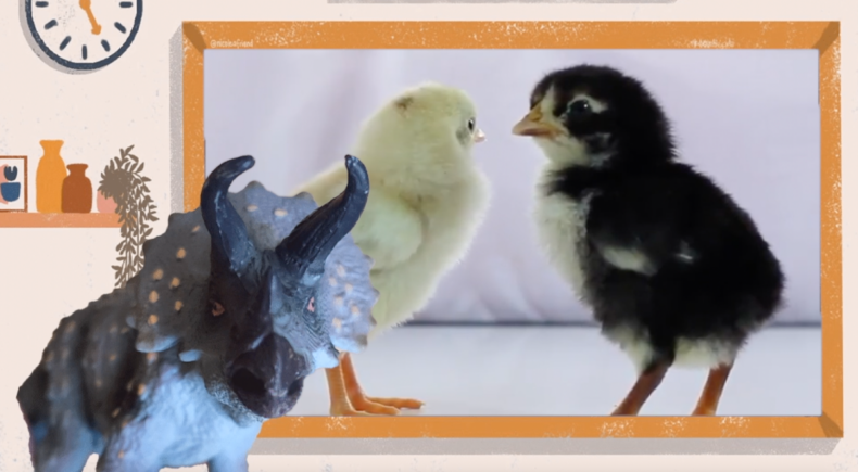 Dinosaur School - still #4