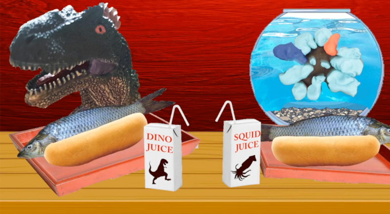 Dinosaur School - still #1