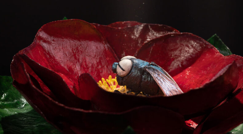 The Nectar Instead - still #1