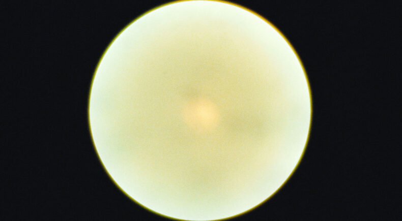 Immaculate Generations no. 1 - still #1