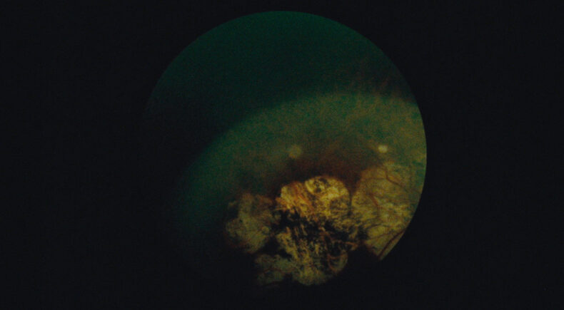 Immaculate Generations no. 1 - still #3