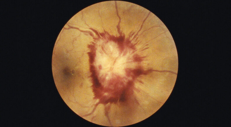 Immaculate Generations no. 1 - still #4