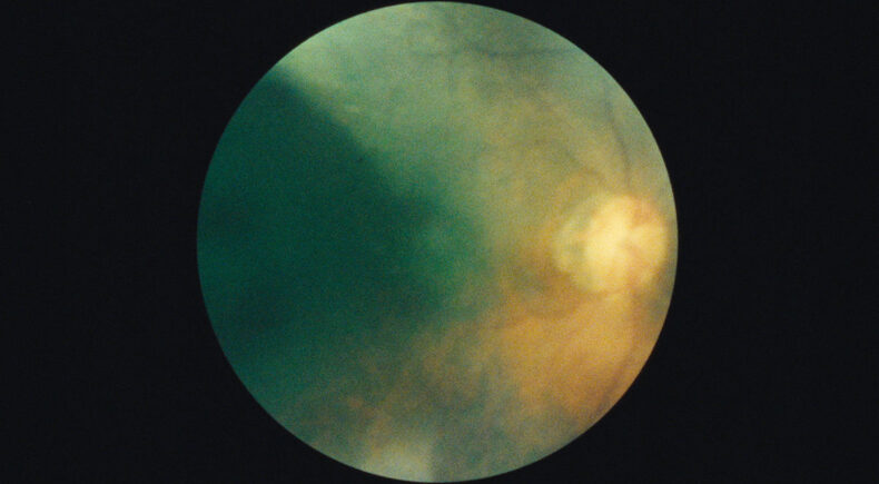 Immaculate Generations no. 1 - still #5