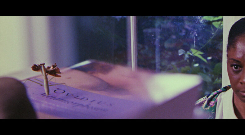 Ovid, New York - still #3