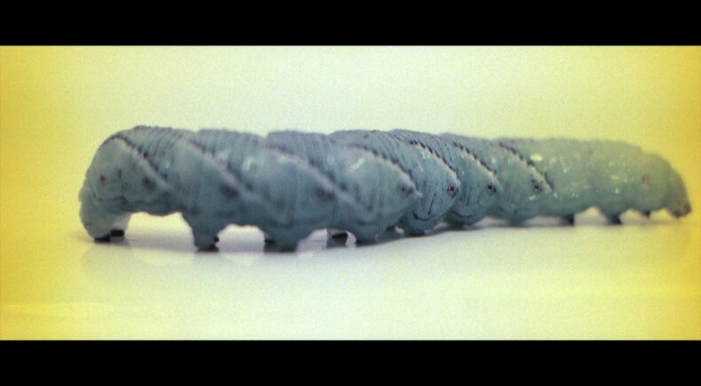 Ovid, New York - still #4