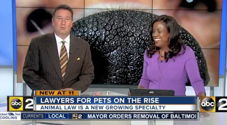 Dogs Are People Too: A four-legged civil rights movement - still #1