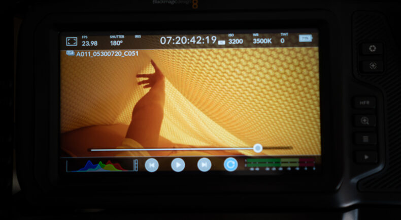 AMPHIBIOUS - still #3