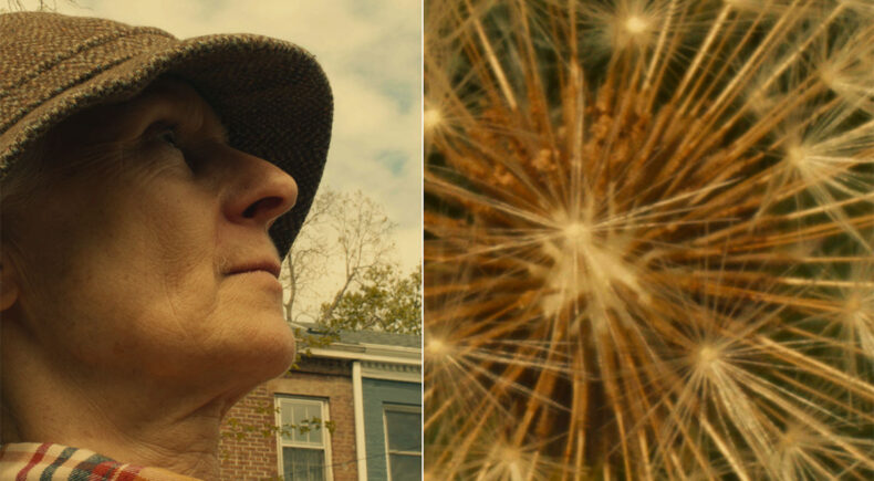 Henry at the Golden Hour - still #2