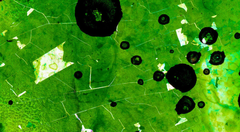 Parangolé - still #2