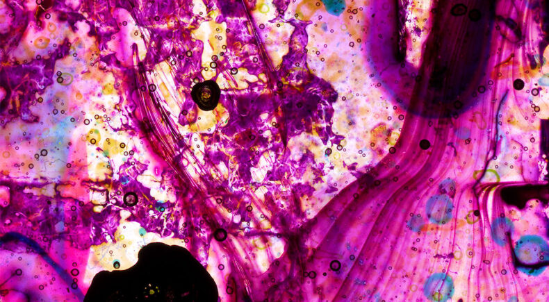 Parangolé - still #3