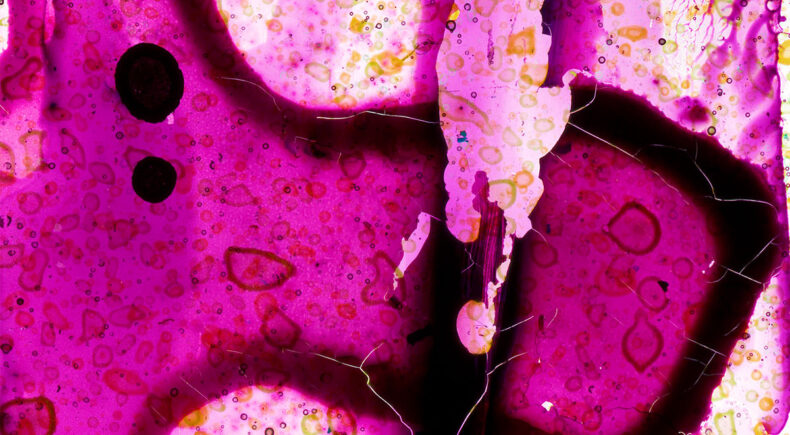 Parangolé - still #5