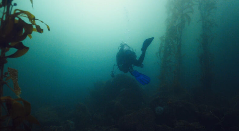 Take Me To The Ocean - still #4