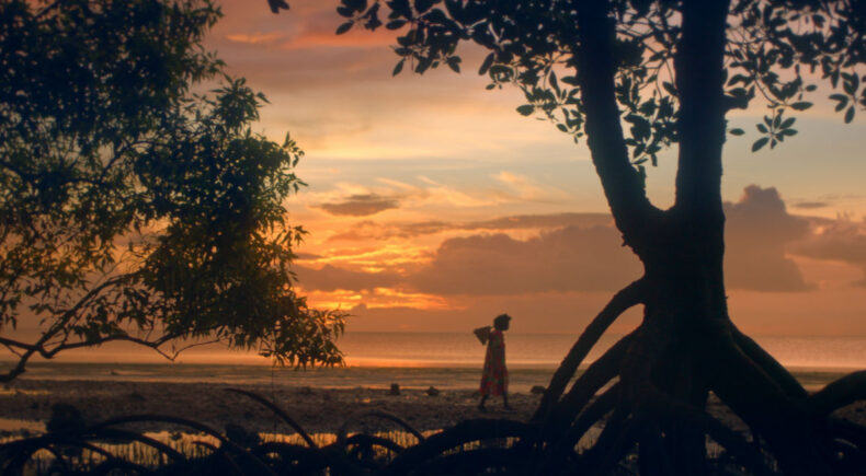 Katele (mudskipper) - still #3