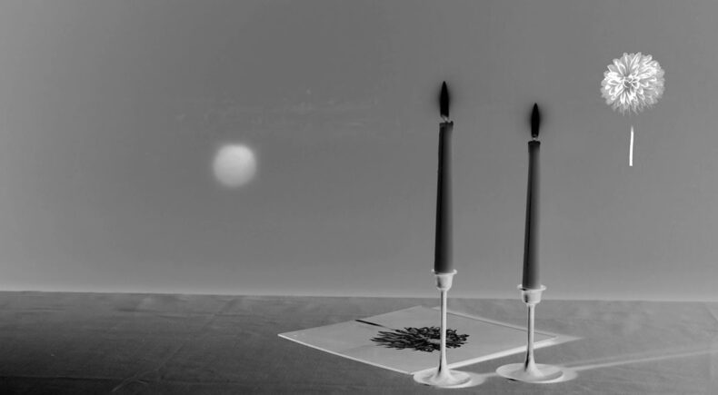 Blossom of Choice - still #3