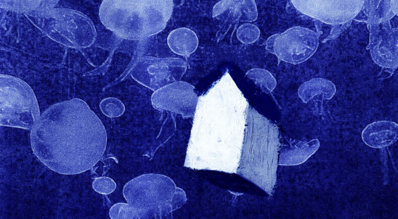 Swimming With Wings - still #5