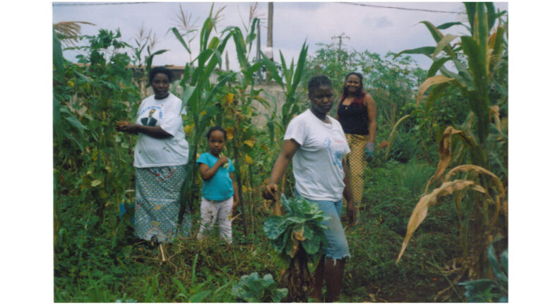 Les Lavandières - still #3