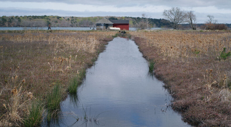 Scoop Me Up - still #1